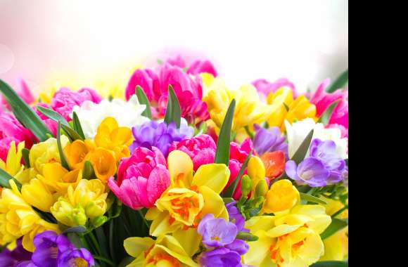 Purple Flower Yellow Flower Pink Flower Colorful Colors Nature Flower