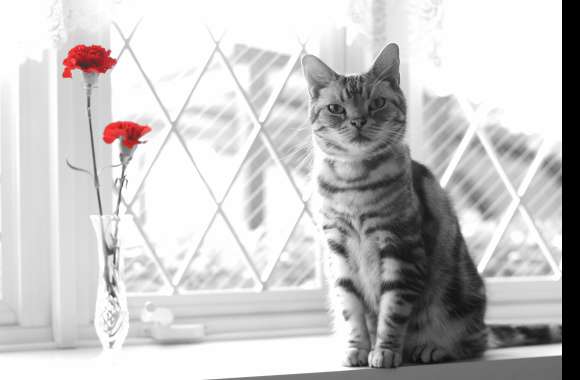 Red Flower Selective Color Animal Cat