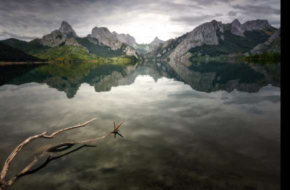 Reflection Nature Lake