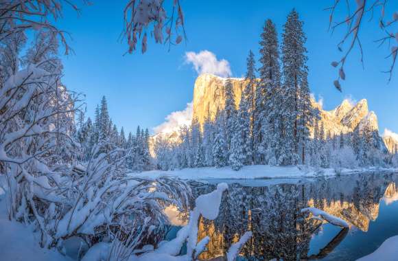 Reflection Nature Winter