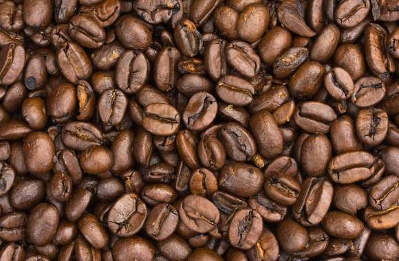 Rich Coffee Beans - for Coffee Lovers