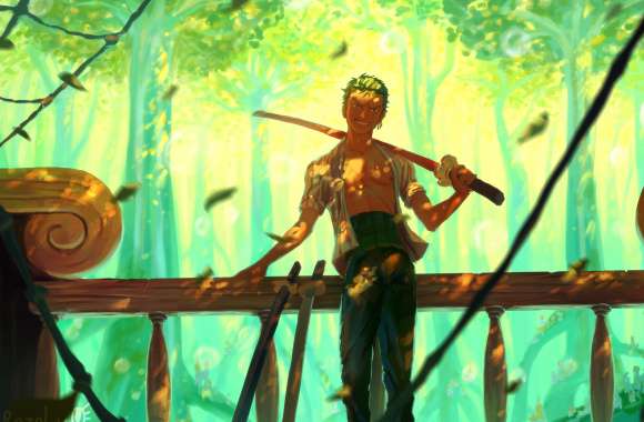 Roronoa Zoro HD Anime Wallpaper