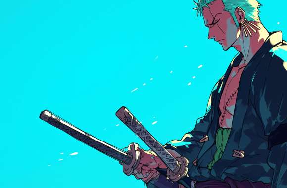 Roronoa Zoro One Piece Anime