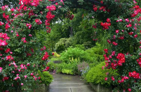 Rose Arch Garden Path -