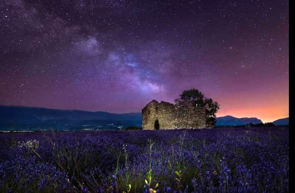 Ruin Starry Sky Sky Purple Flower Flower Field Night Nature Lavender