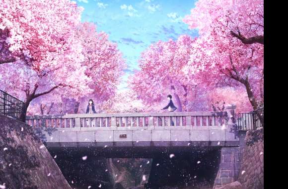 Sakura Blossom Love - Anime Spring