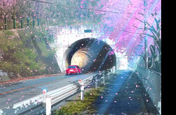 Sakura Tunnel Road Anime