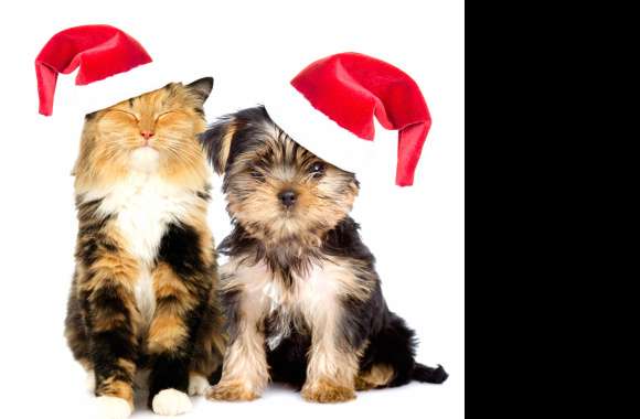 Santa Hat Dog Cat Christmas Holiday Animal Cat & Dog