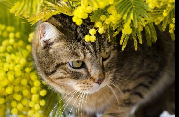 Serene Cat in Bloom -