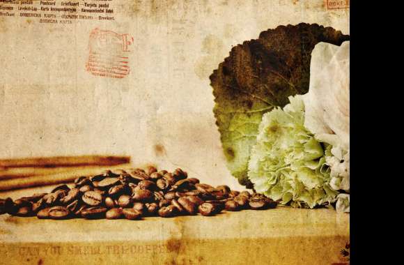 Serene Coffee Beans An for Food Lovers