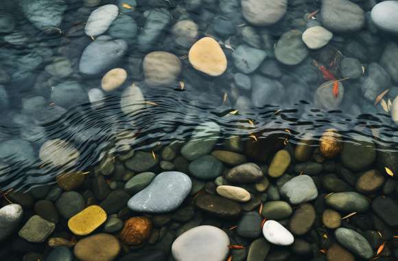 Serene Pebble Pond