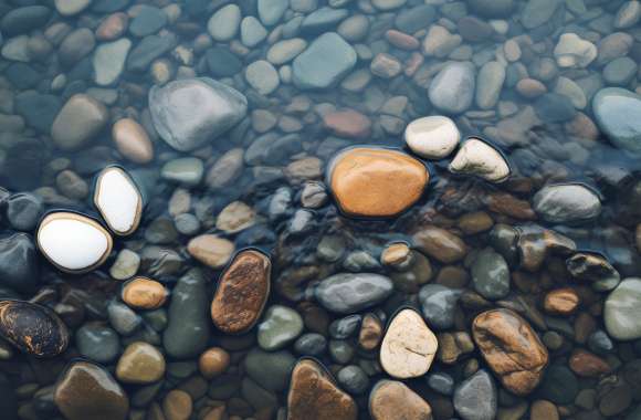 Serene Pebbled Shore