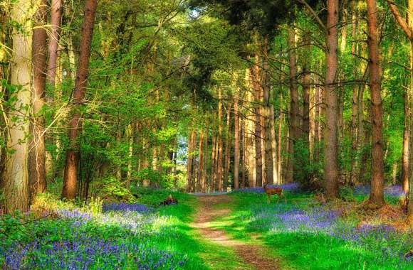 Serene Spring Forest of Deer Among Greenery