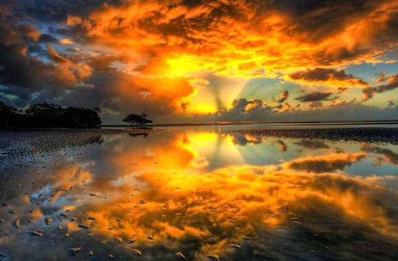 Serene Sunrise Reflection -