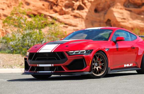 Shelby Super Snake 2024