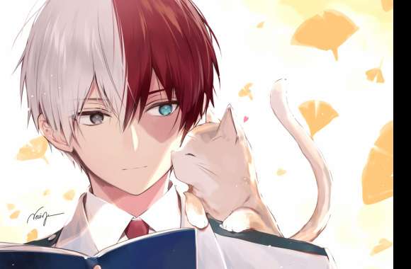 Shoto Todoroki with Cat - wallpapers hd quality