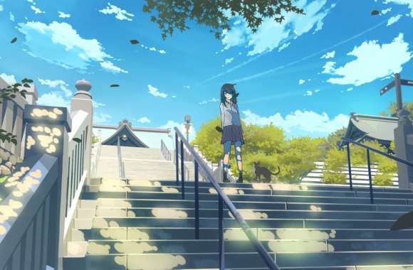 Sky Cat Anime Original wallpapers hd quality
