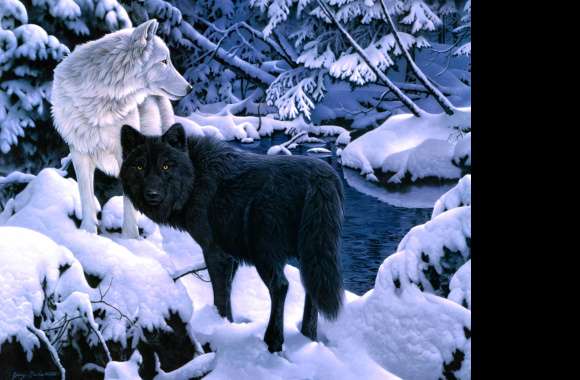 Snow Wolves Winter