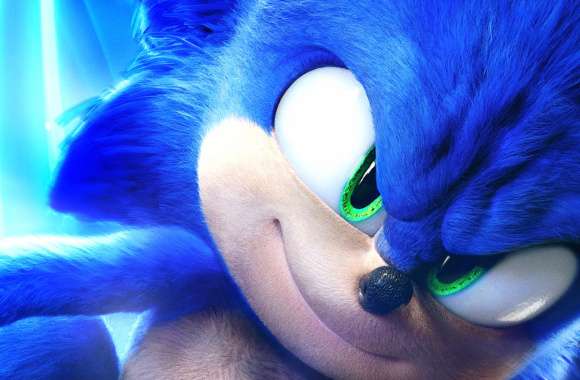 Sonic The Hedgehog Movie Sonic The Hedgehog 2