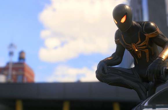 Spider-Man 2 - In Wait wallpapers hd quality