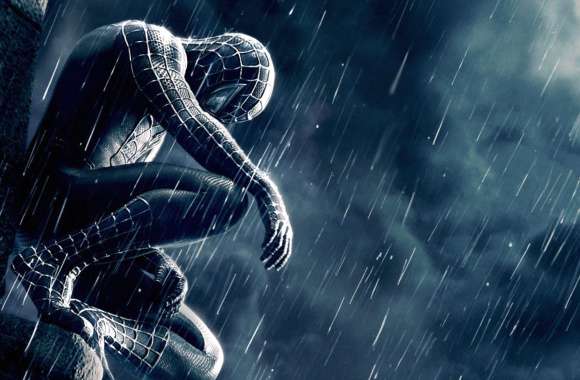 Spider-Man 3 Rainy Night