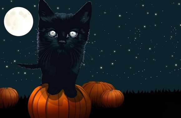 Spooky Cat and Pumpkin under Full Moon - HD Halloween Wallpaper