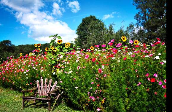 Spring Blooms in an English Garden - wallpapers hd quality