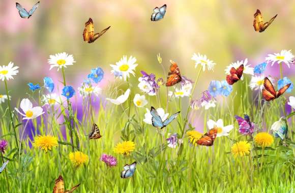 Spring Meadow Butterflies - Colorful