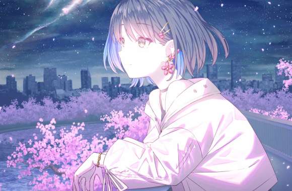 Spring Night Sakura - wallpapers hd quality