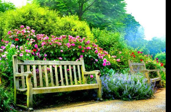 Spring Serenity A of Pink Flowers in the Park