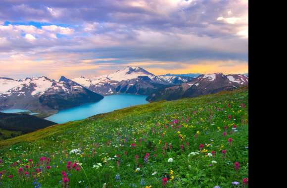 Springtime Alpine Bliss -