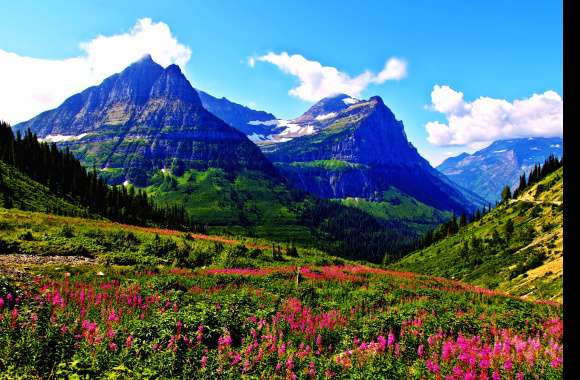 Springtime Bliss HD Mountain Flower Landscape