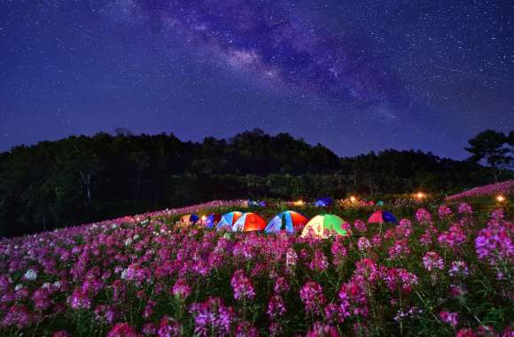 Starry Night Camping A Stunning of the Milky Way