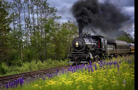 Steam Train in Bloom