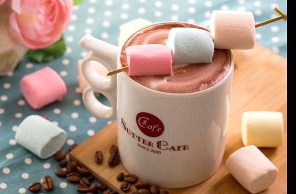 Still Life Marshmallow Cup Food Hot Chocolate