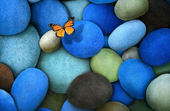 Stone and Butterfly