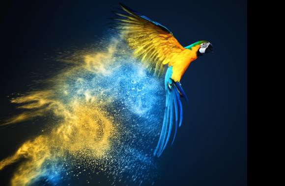 Stunning Blue-and-Yellow Macaw wallpapers hd quality