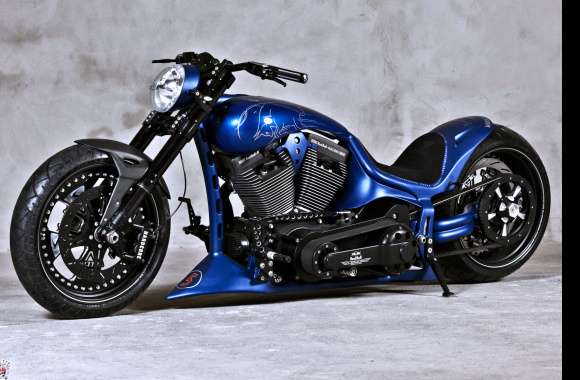 Stunning Blue Harley-Davidson -