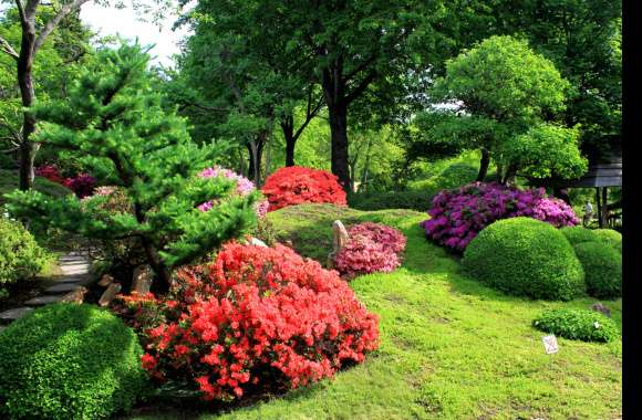 Stunning HDR Garden Blooms -