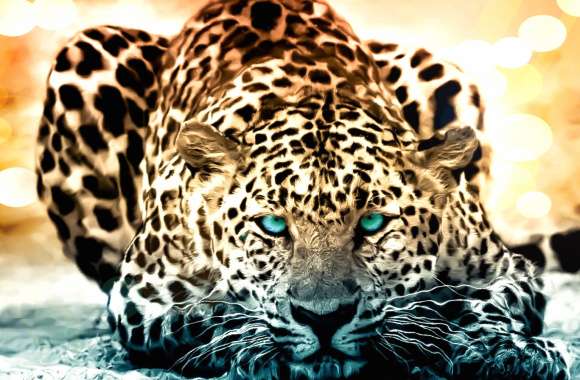 Stunning Leopard