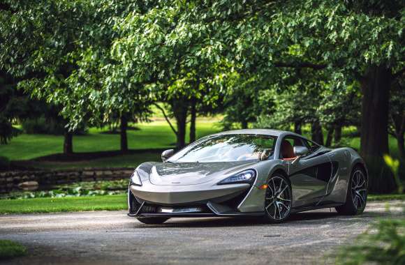 Stunning McLaren 570S of a Silver Supercar