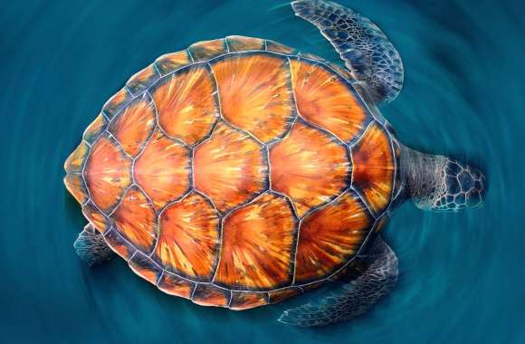 Stunning of a Majestic Sea Turtle