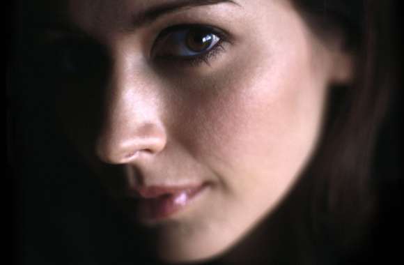 Stunning of Celebrity Amy Acker