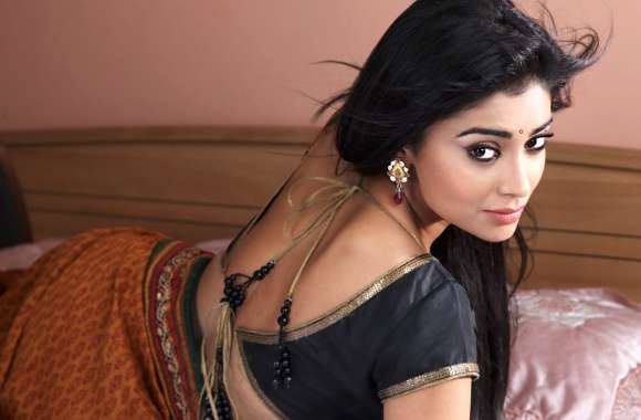 Stunning Shriya Saran in a Saree -