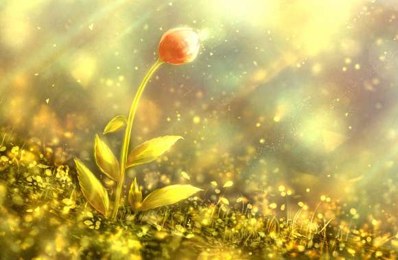 Sunlight Artistic Flower wallpapers hd quality