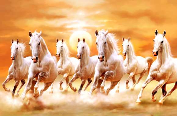 Sunset Gallop HD Animal Wallpaper