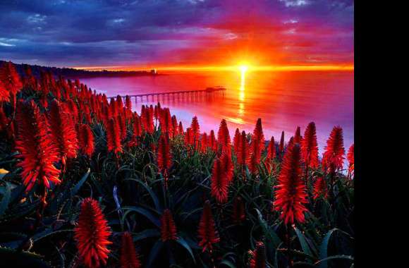 Sunset Over Bridge with Red Flowers -