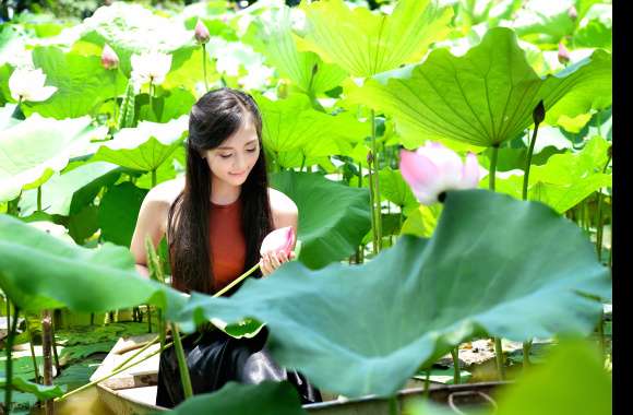 Sunshine & Lotus Vietnamese Serenity in