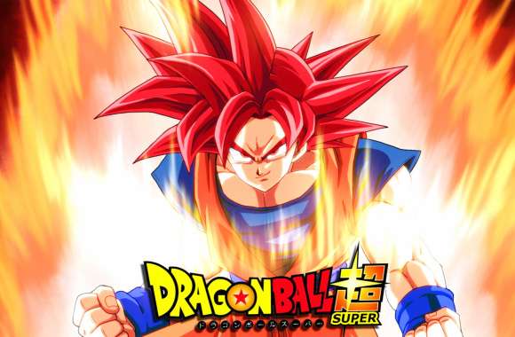 Super Saiyan God Goku Dragon Ball Super