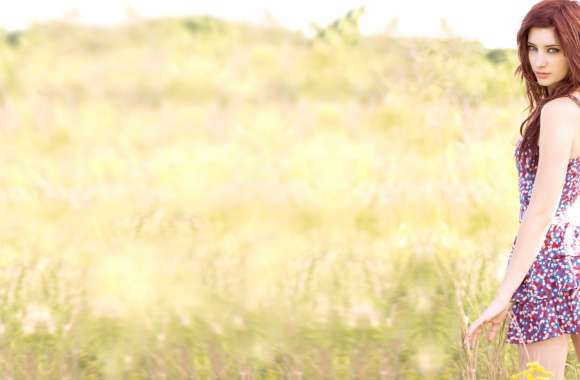 Susan Coffey Elegant Serenity in Nature